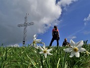 In Linzone spettacolo di narcisi e muscari con capre orobiche – 10magg22-FOTOGALLERY